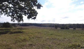 000 County Road 113, Alton, MO 65606