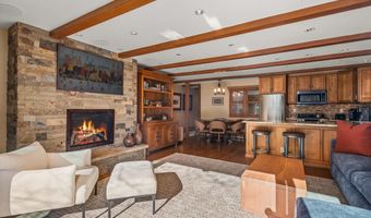 825 E Hopkins Ave 2S, Aspen, CO 81611