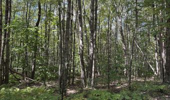 35-3 Jones Hill Rd, Appleton, ME 04862