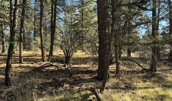 Bunting Drive, Bonanza, OR 97623
