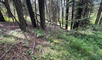 Tbd Hilltop Road 43 & 44, Cascade, ID 83611
