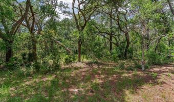 SE 152ND - RAVENSWOOD RD PARCEL B & C LOTS 16 17 Place, Altoona, FL 32702