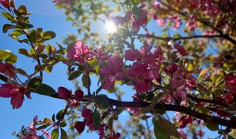 33017 77th, Arkansas City, KS 67005