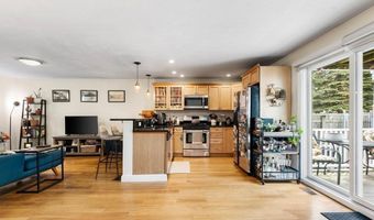 617-619 E. Second St 1, Boston, MA 02127