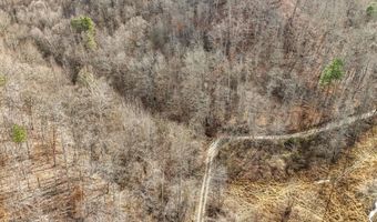 9999 Honeycutt Branch Turkey Crk, Barbourville, KY 40906