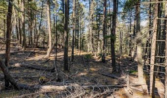Back Basin Rd lot 145, Angel Fire, NM 87710