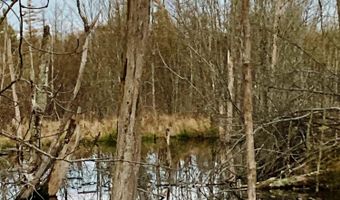 W McMann & Porcupine Hill Road lot 3, Addison, ME 04606