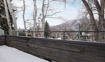 1001 E Cooper Ave 2, Aspen, CO 81611