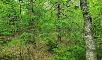 77 S Princeton Rd, Alexander, ME 04694