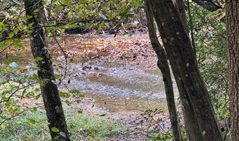 827 Wolf Creek Ln, Appomattox, VA 24522