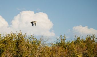 3127 US HWY 95, Cambridge, ID 83610