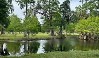 Tbd CORKWOOD LANE, Astatula, FL 34705