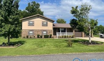 203 Hannah Ave SE, Attalla, AL 35954
