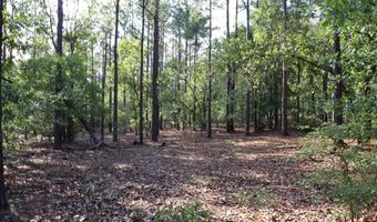 2631 Charlie Johnson Rd, Bethune, SC 29009