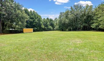 978 Grandmas Pl, Baker, FL 32531