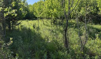 EAU CLAIRE RIVER ROAD lot 3, Aniwa, WI 54408