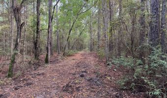 Lower Bay Road, Bay St. Louis, MS 39520