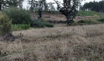 0 Fort Hill Rd, Willamina, OR 97396