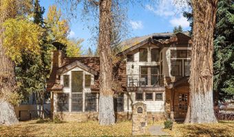 602 W Hallam St, Aspen, CO 81611