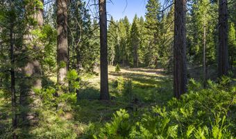 Hungry Ridge, Ashland, OR 97520