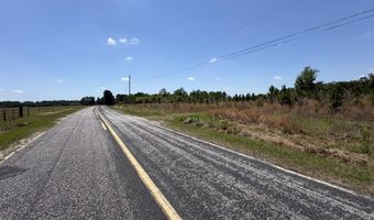 Attadale Rd lot 3, Blenheim, SC 29516