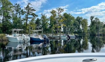 292 N Brightleaf Dr Lot 203, Minnesott Beach, NC 28510