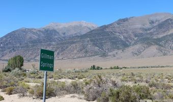 316 Gillman Springs Dr Lot 62, Austin, NV 89310