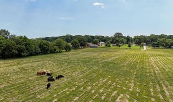 317 N Thurmond Ave, Ash Grove, MO 65604