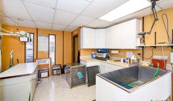 13039 Nacogdoches Rd, San Antonio, TX 78217