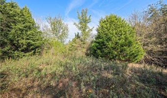 Tbd W Fm 489, Teague, TX 75860