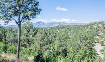 255 New Mexico 220, Alto, NM 88312