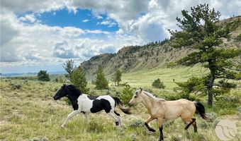 10 PRONGHORN Ln, Bridger, MT 59014