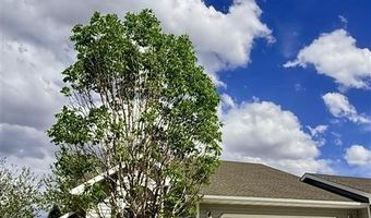 1226 33rd St, Cody, WY 82414