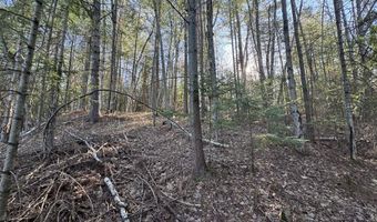 V/L Wildwood Road lot 9, Alger, MI 48610