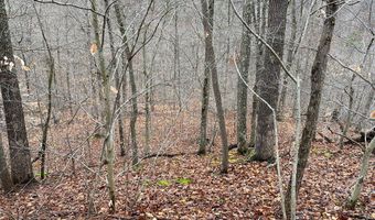RT 64 Braden Hill Rd, Alma, WV 26320