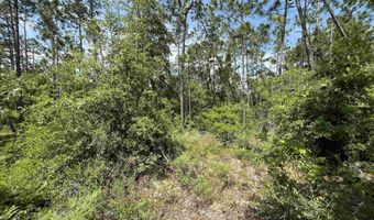 Holly Springs Avenue, Alford, FL 32420