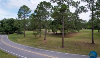 6206 NW 105TH Ave, Alachua, FL 32615