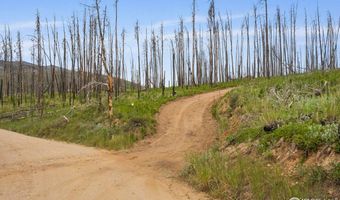 1025 Crystal Mountain Rd, Bellvue, CO 80512