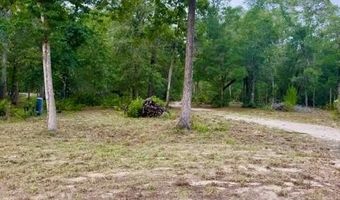 1109 NW 78th Ave, Bell, FL 32619
