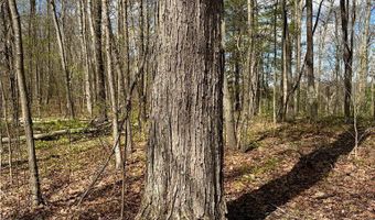 E Captina Highway Road, Alledonia, OH 43902
