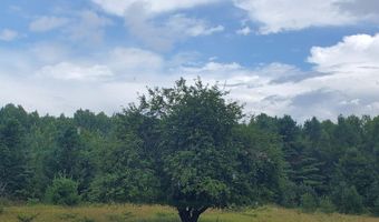 V/L 20AC Monaghan Point Road, Alpena, MI 49707