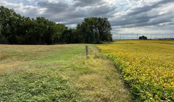 153 Acres Rock County, Bassett, NE 68714