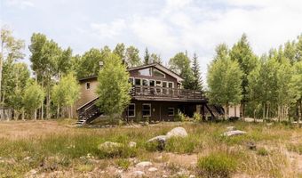 133 GOLD RUN Rd, Alma, CO 80440