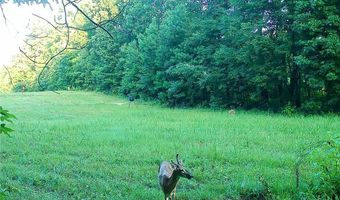 4492 US-78, Tallapoosa, GA 30176