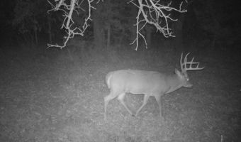 Tbd 194th Avenue, Argyle, IA 52619