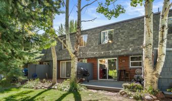 331 Holland Hills Rd Unit 5, Basalt, CO 81621