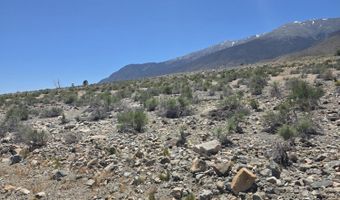 110 Shores Dr, Carson City, NV 89415