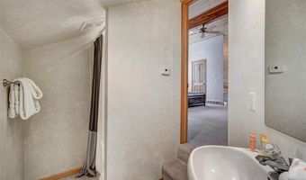 181 Red Fox Ct, Breckenridge, CO 80424