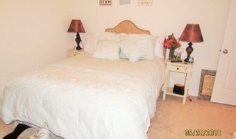 113 FOAL Ct, Harrington, DE 19952