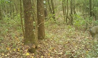 27050 County Road 70, Andalusia, AL 36421